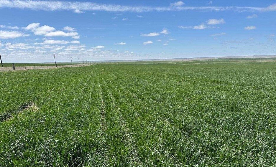High Plains Farm, Colorado