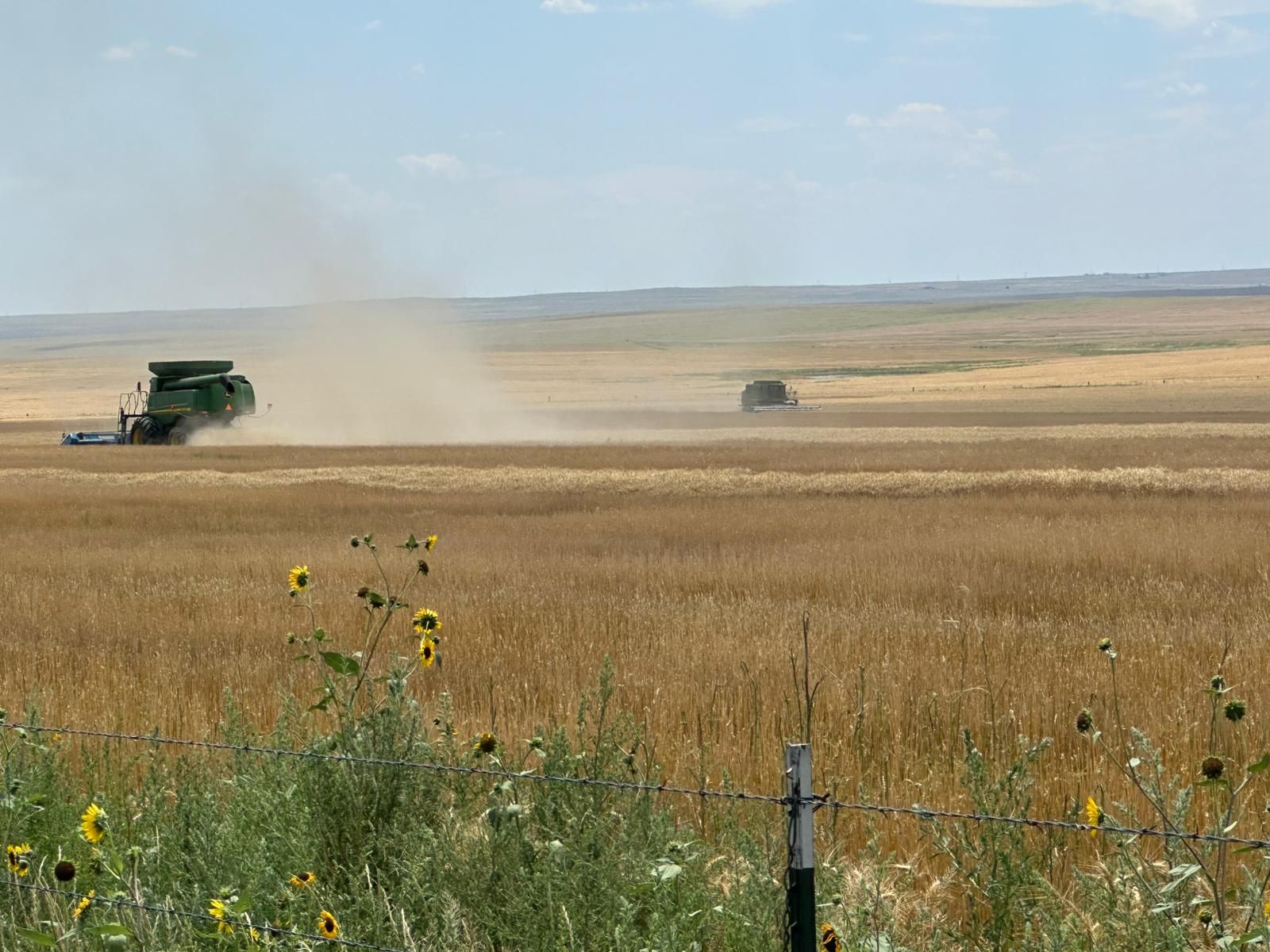 518380649_1053808776907390_4131414221101982637_n