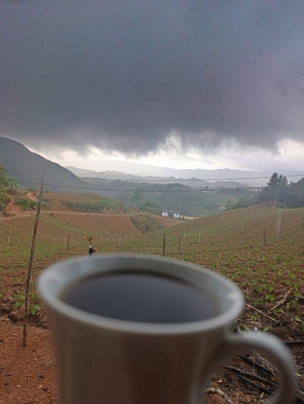 Café